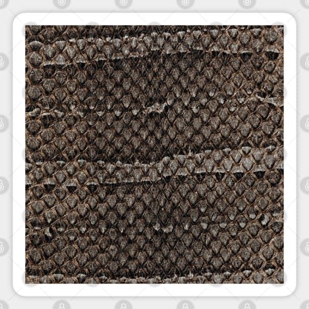 Realistic Snake Skin Magnet by STUDIOVO